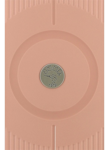 Kohver  55 cm RC 2.0 Pink