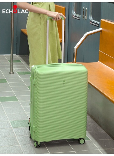Kohver 65 cm ECHOLAC FORZA roheline