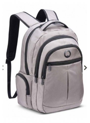 Seljakott Delsey ELEMENT BACKPACKS 15.6