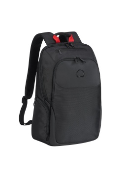 Seljakott Delsey PARVIS PLUS 15.6