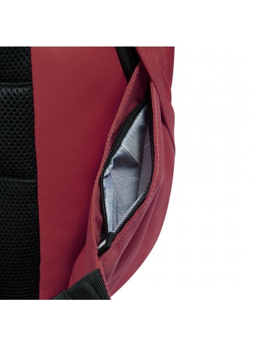 Seljakott Delsey SECURBAN 15